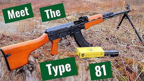 Browning BAR and Type 81