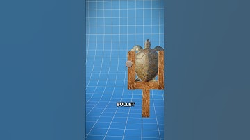 Is A Turtle Shell Bulletproof? 🤔