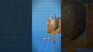 Is A Turtle Shell Bulletproof?