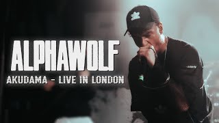 Alpha Wolf - Akudama (Live In London)