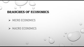 The branches of Economics screenshot 1