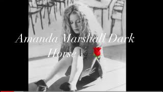 Video thumbnail of "Amanda Marshall / Dark Horse/ 🎶🎼🌹RickMenMusic"