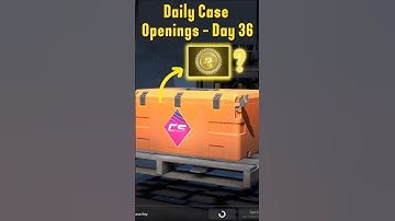 Daily CS2 Case Openings until we get a gold or make a giveaway - Day 36