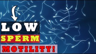 LOW SPERM MOTILITY | CAUSES AND TREATMENT (SCIENCE EXPLAINED!)