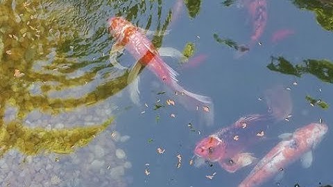 Stop being distracted by new emails.