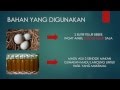 JAMU MERPATI BALAP SEHAT ALAMI