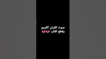 صوت القران الكريم يقطع القلب 