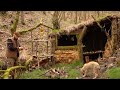 Building a Primitive Bushcraft Shelter: Camping, Outdoor FIREPLACE,Wolf and My Dog - ASMR