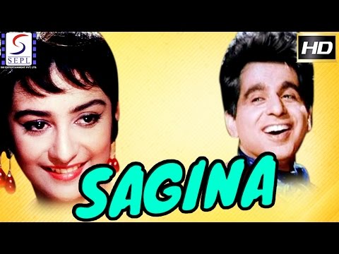 Wideo: Sagina
