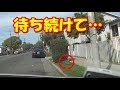 飼い主を待ち続けた犬！捨てられて路上に住むようになった老犬を保護【驚愕】