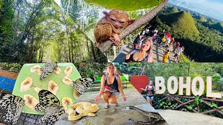 Шоколадные Холмы / Филиппинские Долгопята / Зоопарки / Красивейшая Природа Острова Бохол