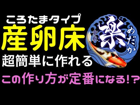 メダカ産卵床のコロ玉タイプ　ひと工夫で簡単作成！タマゴトリーナも縦長タイプで作ろう！【楽めだか】完全保存版　これでメダカ産卵床は量産可能！