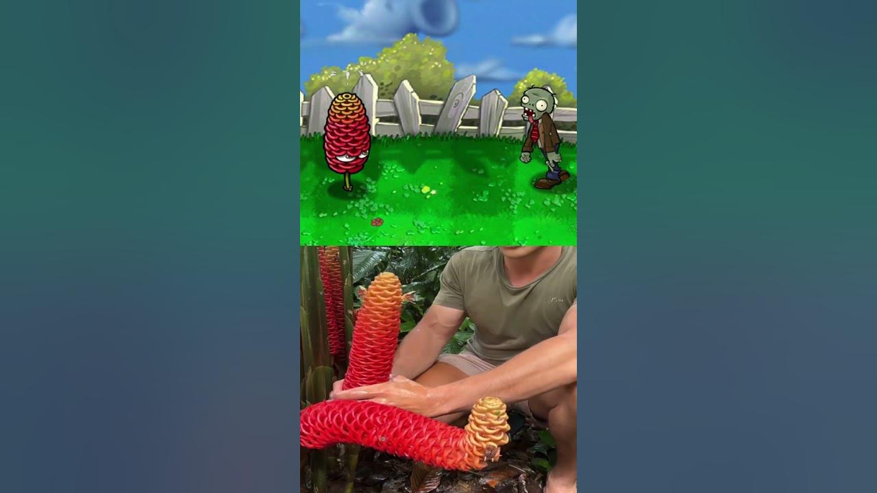 Beehive Ginger 💦 w/@mitchellburns_  (PVZ) #pvz #plantsvszombies