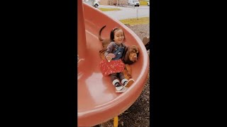 Adorable Puppy Follows His Little Friend Up A Slide To Play With Her At The Playground