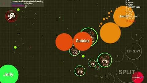 Blob.io Macro Mode!🔥 Worst Moment or Best Moment?