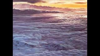 Moonflower by Santana