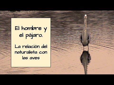 El hombre y el pájaro