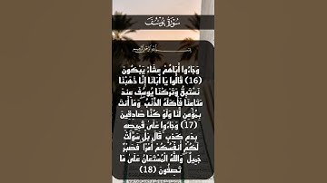 سورة يوسف ❤ #quran #مشاري_العفاسي #قرآن #اكسبلور #المصحف #دويتو #قران_كريم #duet #تيك_توك