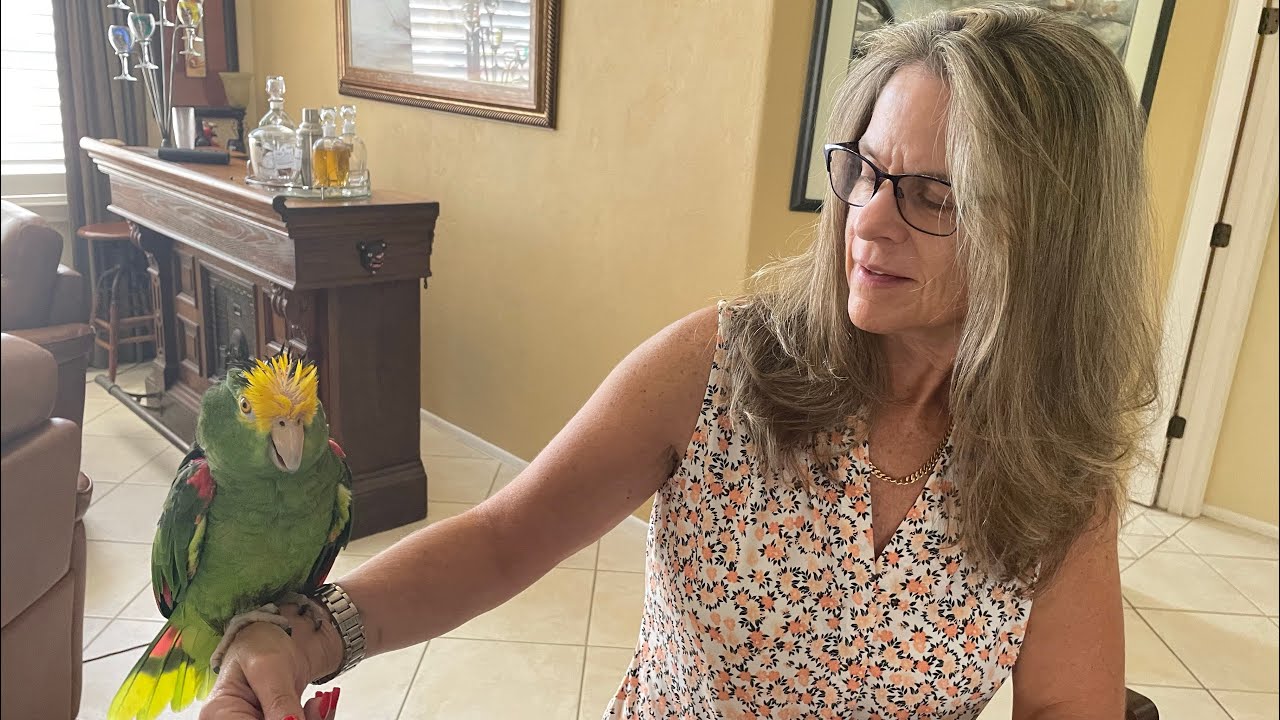 Rain Dance (With Tico)