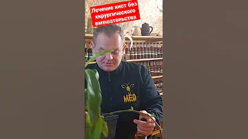 золотой ус от кист любого вида