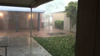 Brisbane storm bring down tree with rain and hail November 27 2014