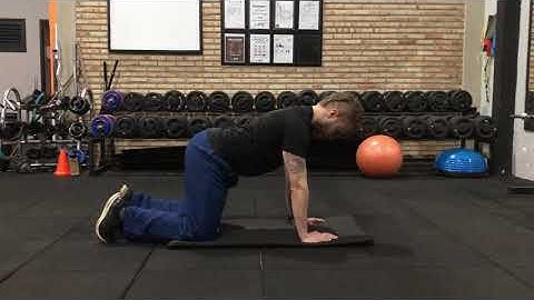 Mobilidade escapular - adução e abdução em 6 apoios