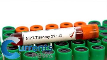 False Positives in Prenatal Blood Tests Could Be Driving Women to Abortion