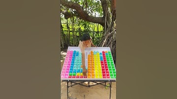 Brain Workout + Family Fun = Ball sort puzzle🙏#ballsort #colormatch #games #puzzle #challenge