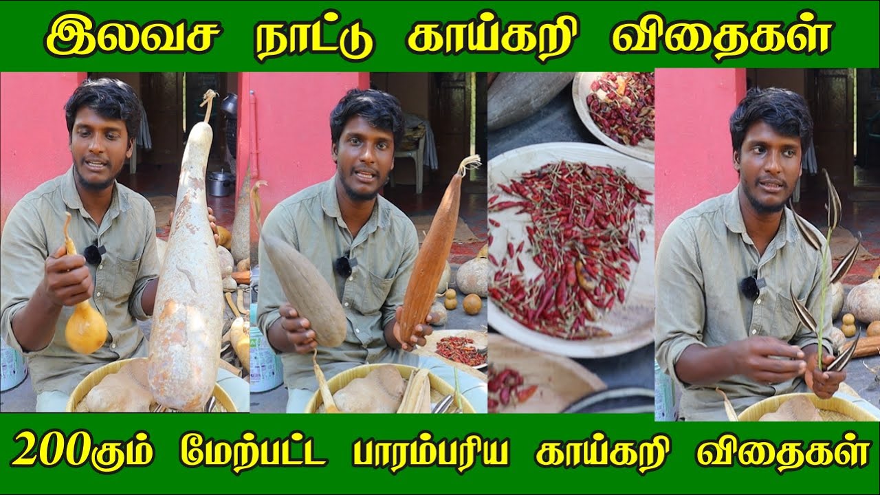 இலவச நாட்டு காய்கறி விதைகள் | பாரம்பரிய விதைகளை மீட்டு இலவசமாக தரும் உழுது உண் சுந்தர் | Free Seeds