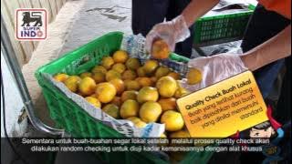 Bagaimana Super Indo Menjaga Kesegaran Buah?