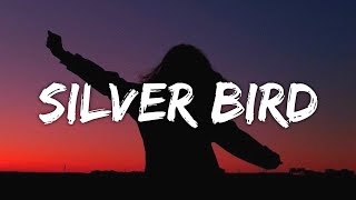 Mark Lindsay - Silver Bird (Lyrics) (From The Gray Man)