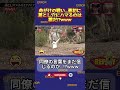 信じた瞬間に落下!落とし穴バトルロワイアルww #水曜日のダウンタウン #落とし穴 #爆笑 #ドッキリ