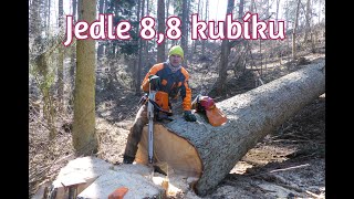 Forest job / Jedle 8,8 kubíku - Stihl 462 #202