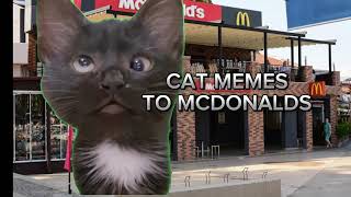 cat memes : to mcdonald’s