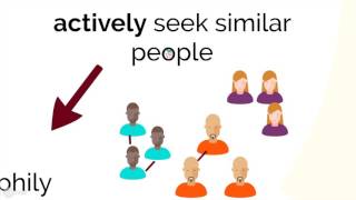 homophily