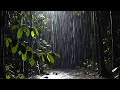 🔥 LIVE Rain Forest Ambience For Deep Sleep Relaxation 🌧️🌲 Full Mental And Physical Rest