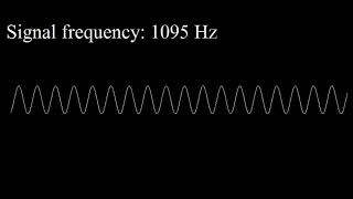 Only 1% Can Hear 4000 Hz! Can YOU Do It? C