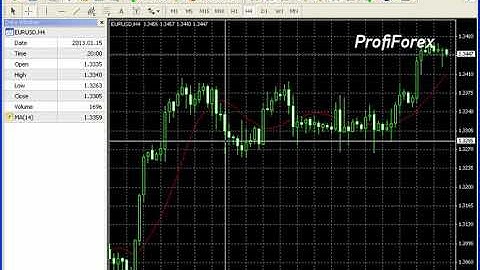 Profiforex Metatrader 4:Data Window