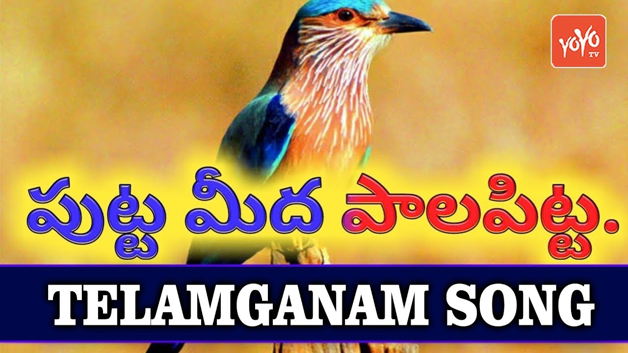 Putta Meeda Paala Pitta Song | Telangana Folk Songs | Latest ...