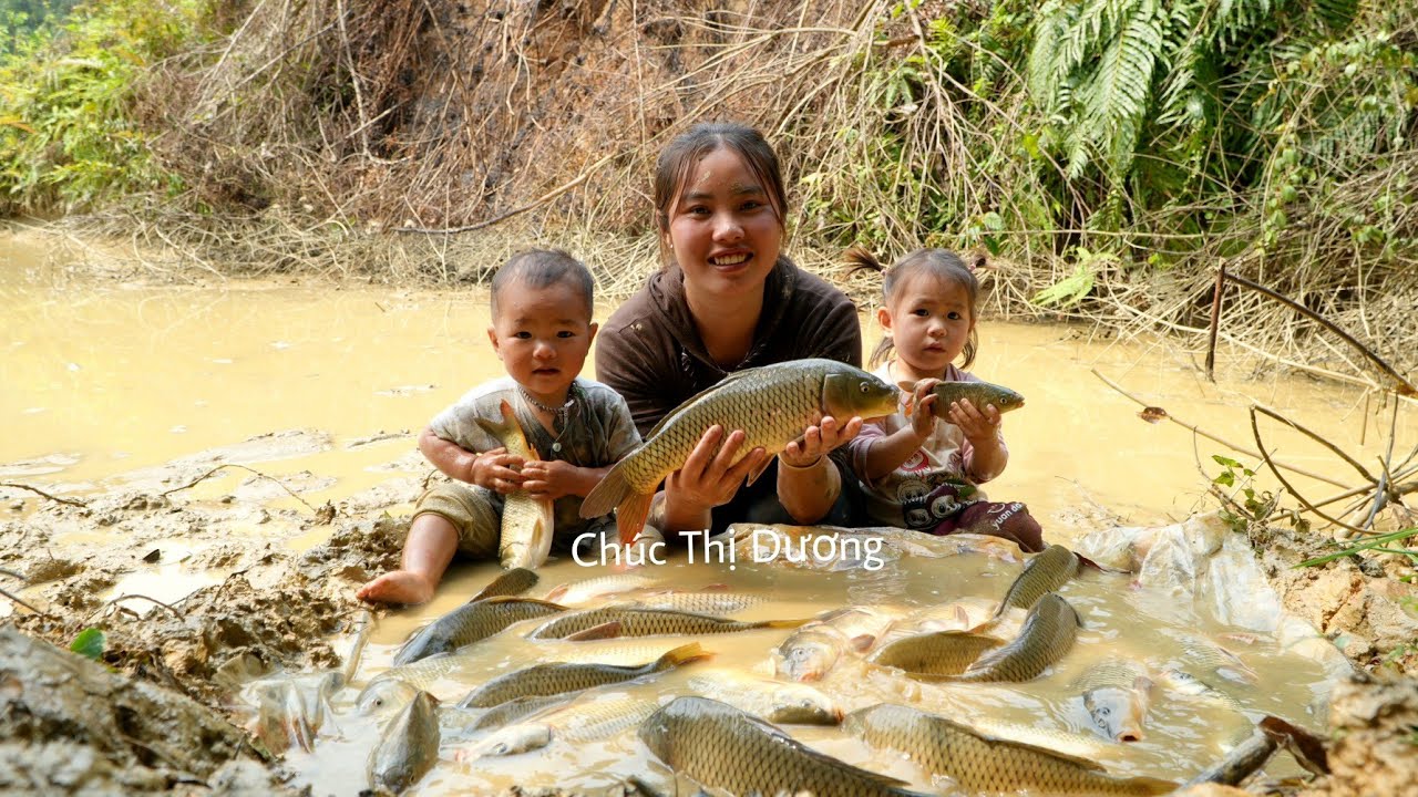 How to harvest a giant fish pond with your little daughter and bring it to the market to sell