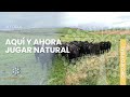 Jugar Espontaneo volver al presente en un Instante 🐾 #alegria #espontaneidad Natural#niñointerior