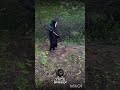 দায়িত্ব শীল #shortvideo #funny