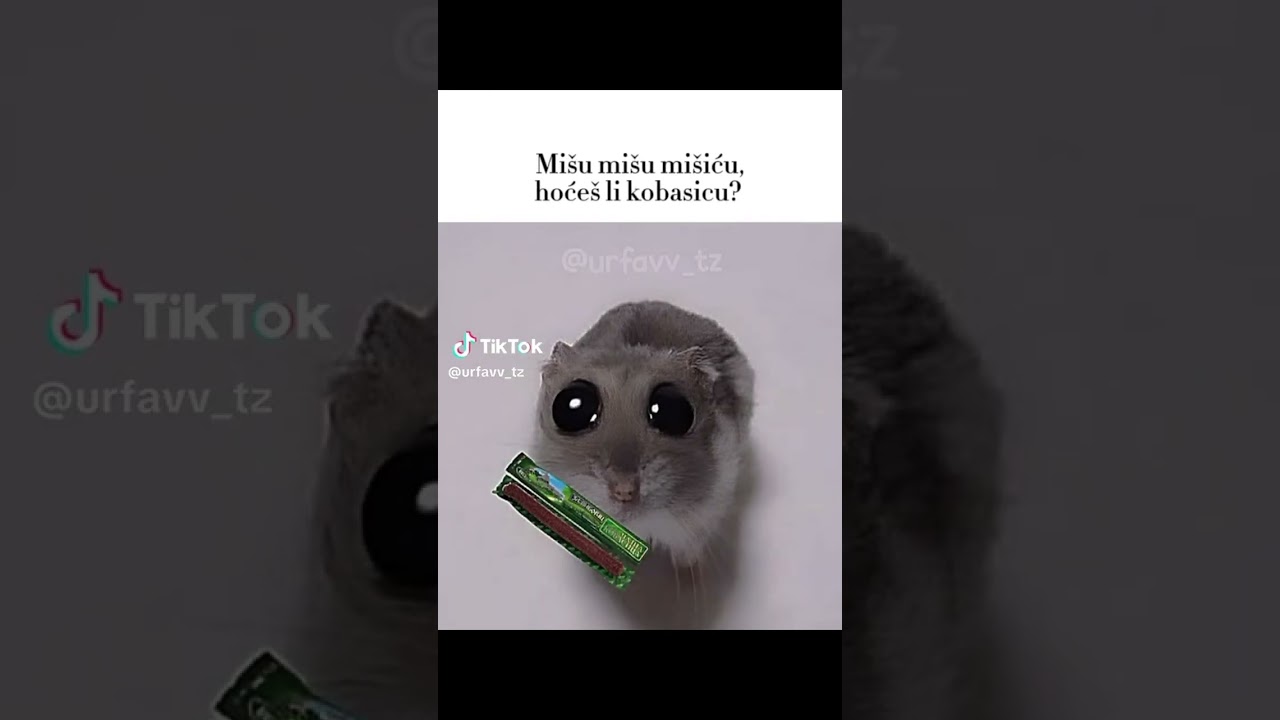 preview_player