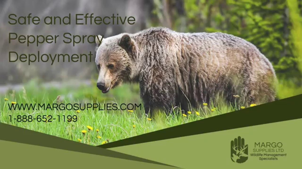 Margo Pepper Spray Deployment YouTube