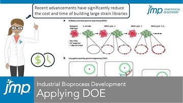 Applying Design of Experiments in industrial bioprocess development