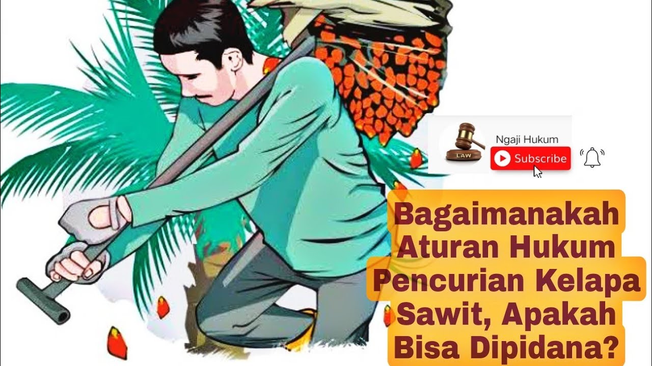 Bagaimanakah aturan hukum pencurian Kelapa sawit,  apakah bisa dipidana ?