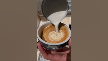 wing tulip latte art swan latte art tutorial #coffee #barista