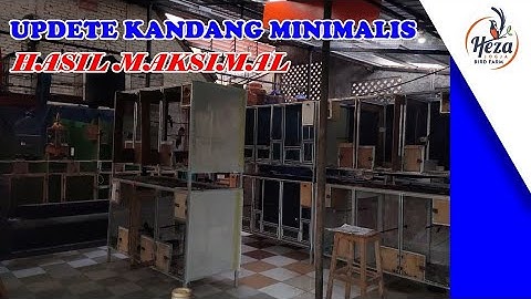 UPDATE KANDANG MINIMALIS HASIL MAKSIMAL