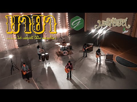 มายา - วงมะลิซ้อน 【Official Audio】