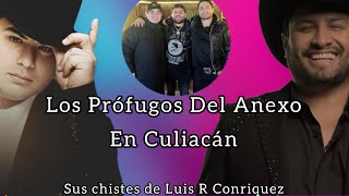 Los Prófugos Del Anexo en Culiacán 🤠 Luis R Conriquez 😂